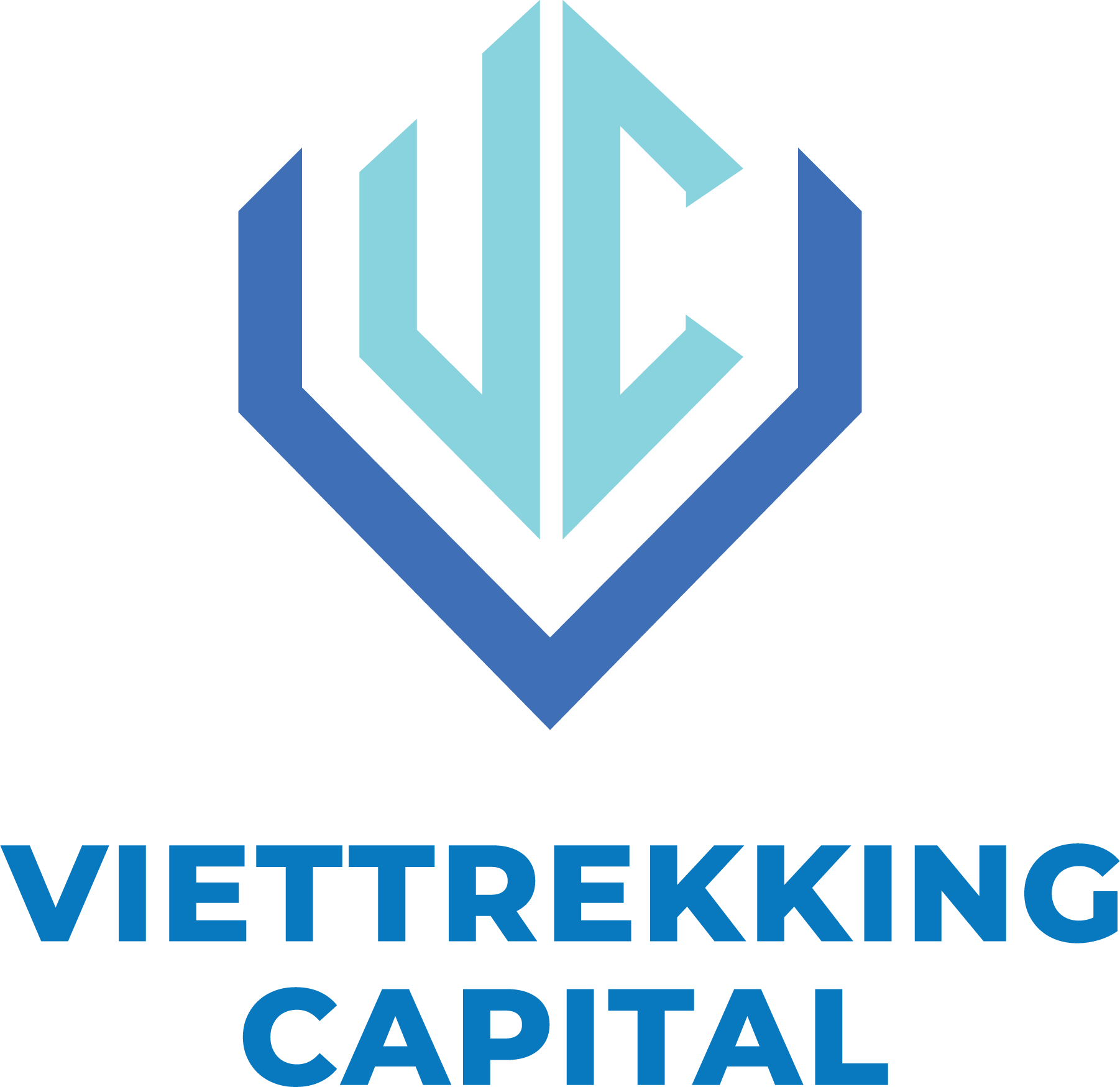 Viettrekking Capital